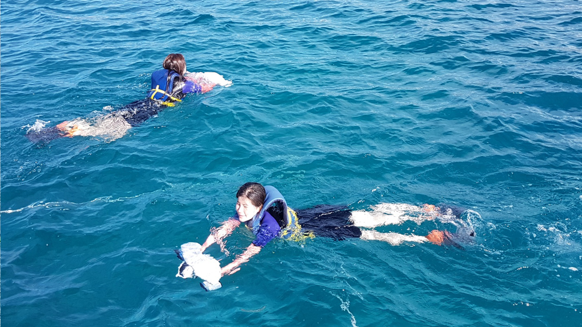 Waikiki Ocean Turtle Snorkeling 