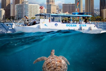 ocean star hi's boat floating on a body of water with waikiki sea turtle underwater in honolulu, hawaii